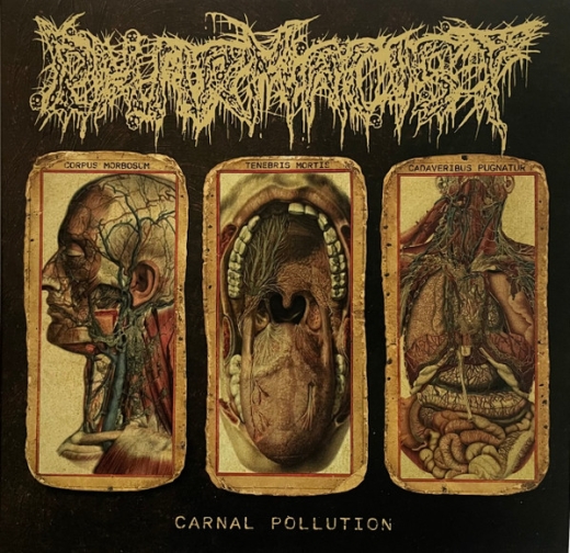 Pharmacist - Carnal Pollution ++ MLP